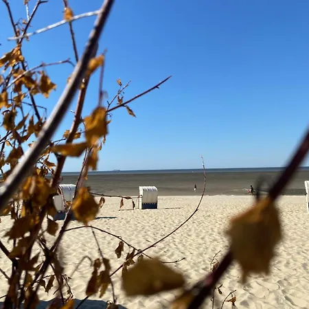 Haus Dornhai Cuxhaven